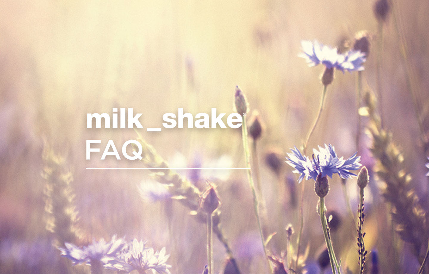 Milk shake Moisture Plus Shampoo ingredients (Explained)